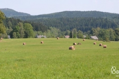 Podzimní zkoušky