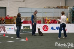 Arven Bohemia Staff obedience