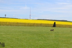 Aport