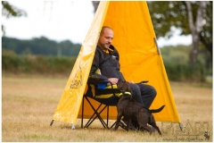 Staffbull Speciál – ukázka výcviku